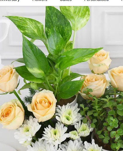 Green Babies & Floral Beauties Gift Tray