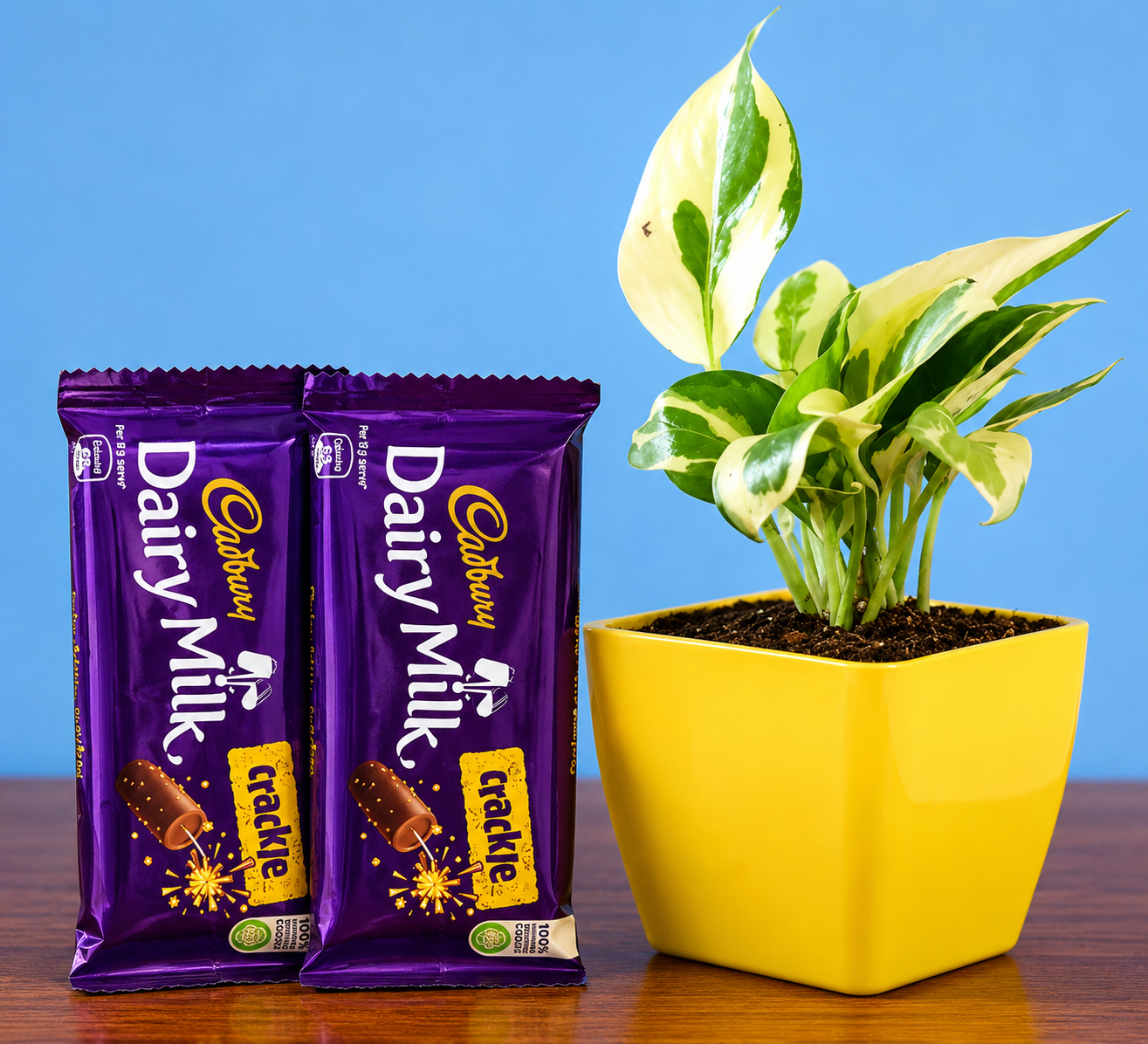 White Pothos Plant & Fruit N Nut Combo