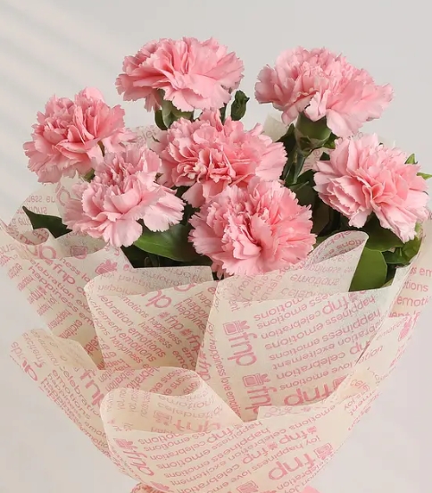 Beautiful 7 Pink Carnations Flower Bouquet